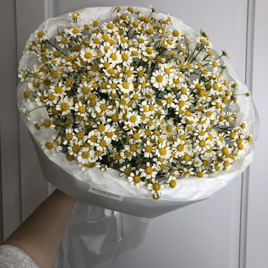 Летний монобукет ️Bloom room, танацетум