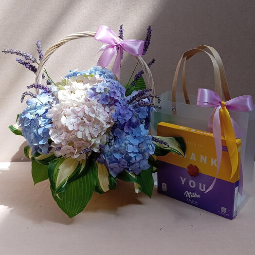 Lavender Hydrangea and Milka
