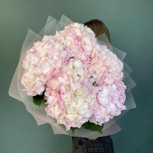 Монобукет из 5 розовых гортензий 🌸