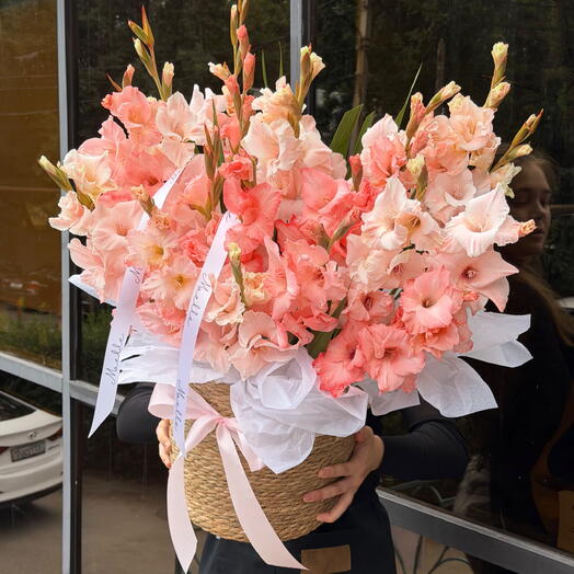 Blush Elan