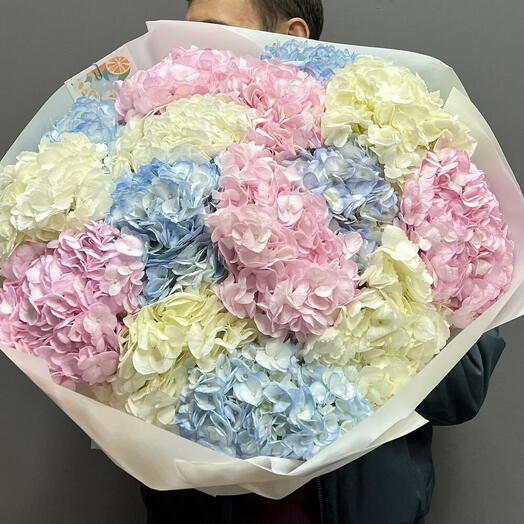 Гортензия 15 микс 💙🩷🤍