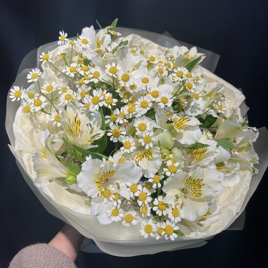 Солнце