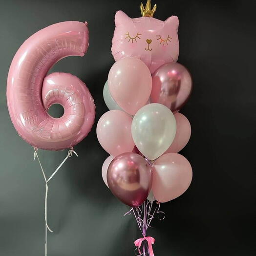 Набор воздушных шаров для девочки на 6 лет (Цифру можно менять)
