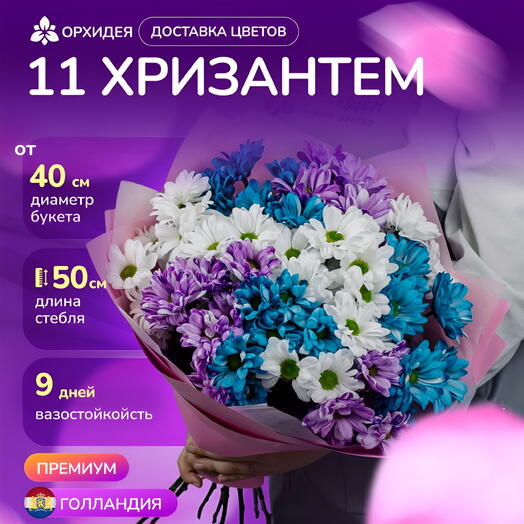 11 хризантем микс краш