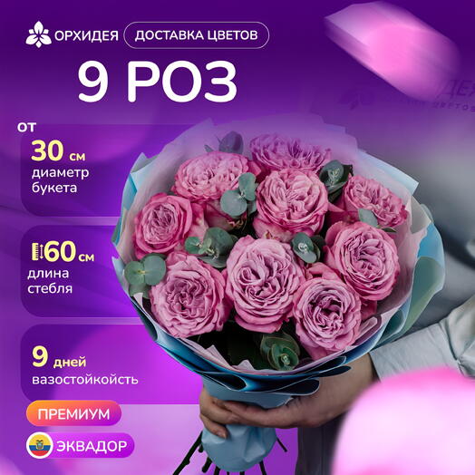 9 пионовидных роз Куинси с эвкалиптом