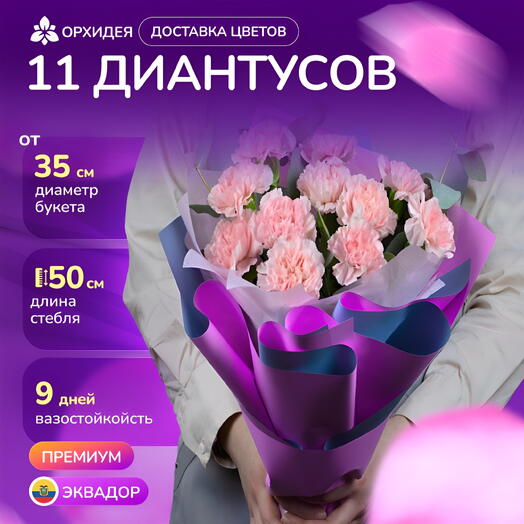 Букет 11 Диантусов розовых