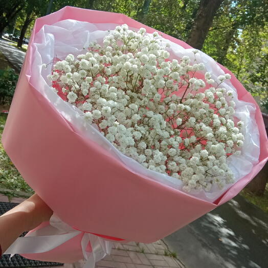 Зефирка 🌸🌸🌸