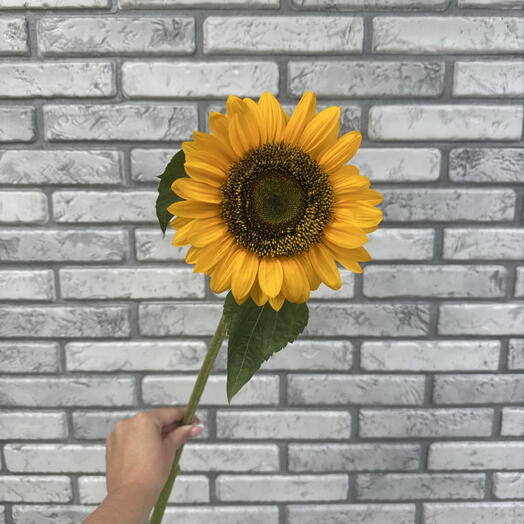 Подсолнух 🌻  поштучно