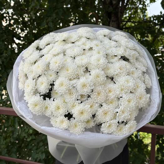 Хризантема любимой