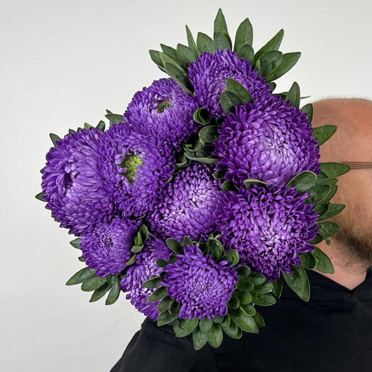 Пачка (10 шт) астра сиреневая