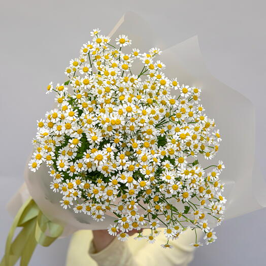 Монобукет из 11 кустовых ромашек