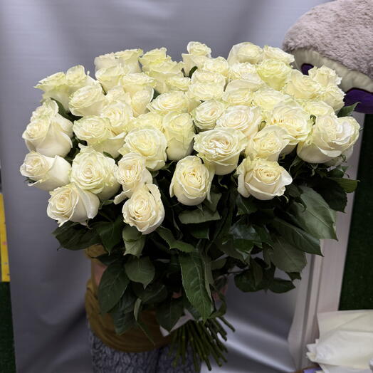 51 Роза Эквадор белые