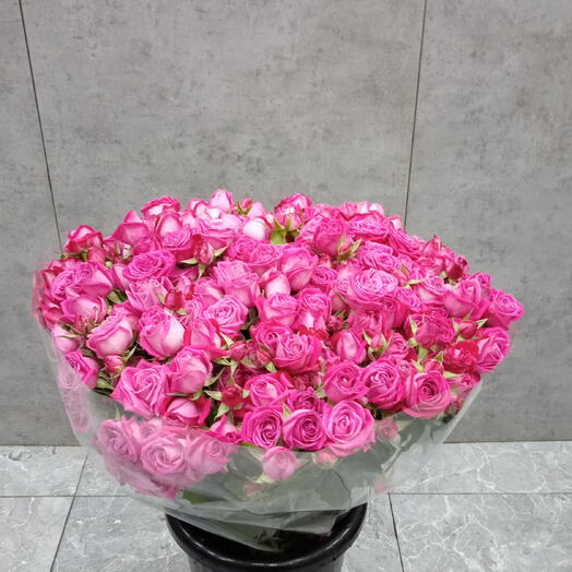 Мини пиончик и 51