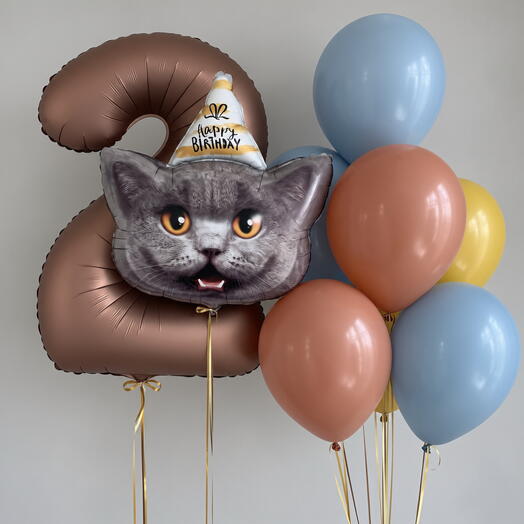 🐱 Набор воздушных шаров «Котик с цифрой»