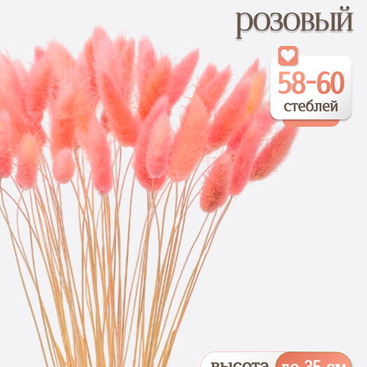Лагурус розовый 60 шт. Высший сорт. Высота 25-35 см М640