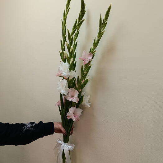 Букет Гладиолусы 5 шт