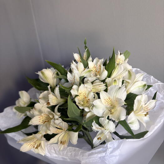 Альстромерия в упаковке