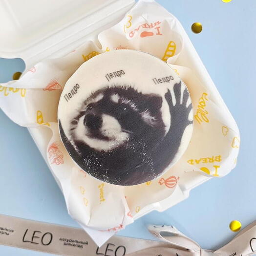 Pedro the raccoon bento cake, birthday gift, joke, joke, meme
