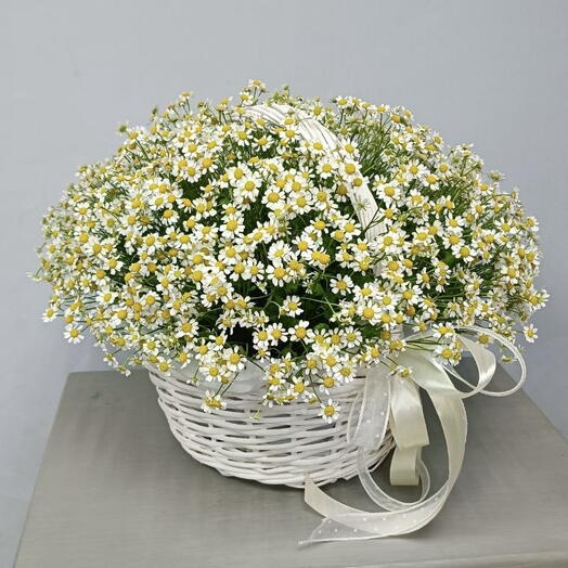 Корзинка с ромашками