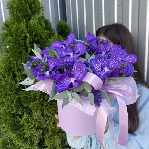 Орхидея Ванда 💐
