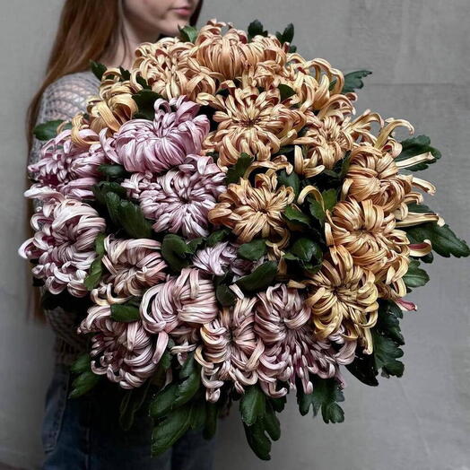 Хризантемы виена 39 шт