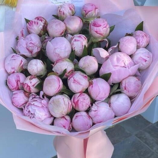 Пионы розовые 31 шт
