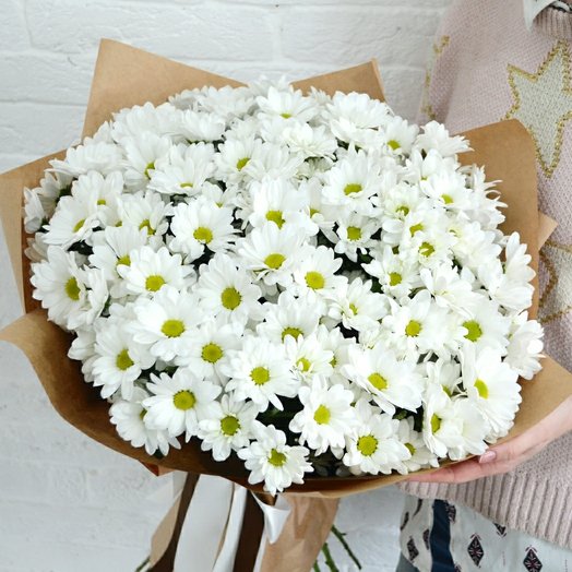 Fluffy daisies