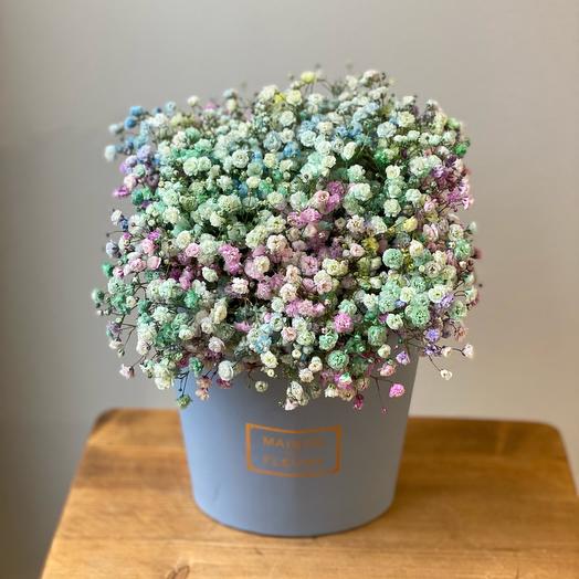 Marshmallow is blue. Colored gypsophila in a box
