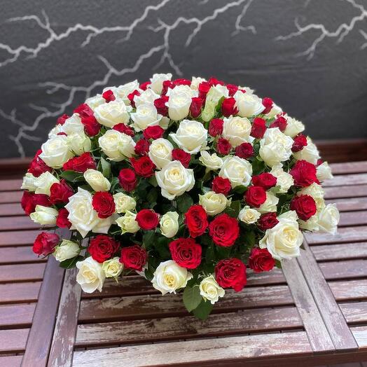 Cesta grande de 201 rosas rojas y blancas " mural Rojo y blanco"