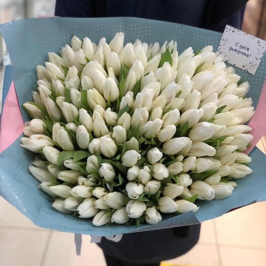 Тюльпаны  💐 Антрактикада 101