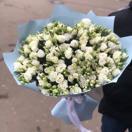 Эустома Белая