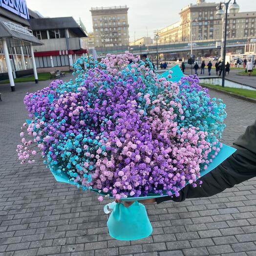 Радужная Гипсофила