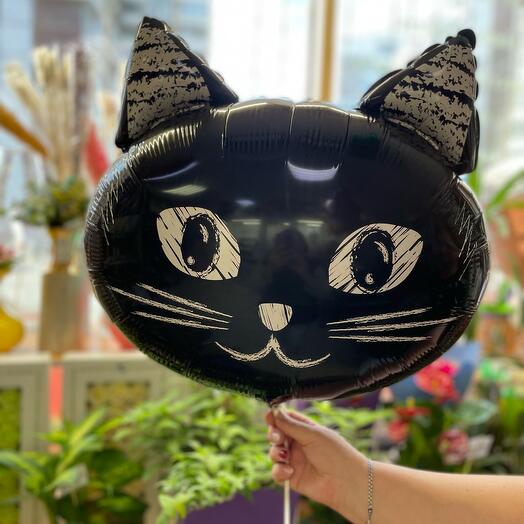 Кот и кошечка