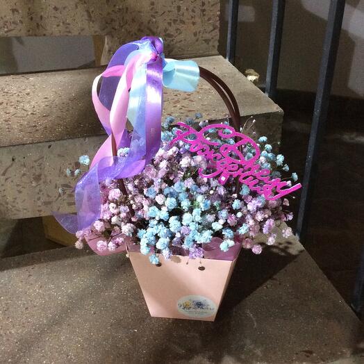 Gypsophila in her purse