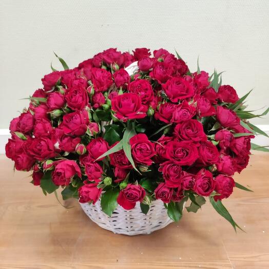 39 rosas de peonía de arbusto rojo en una canasta
