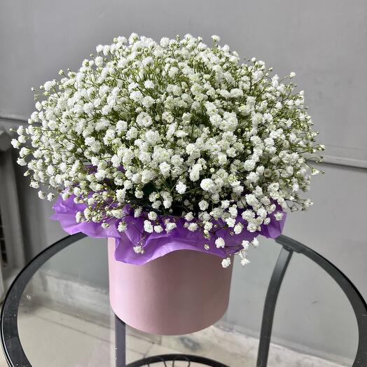 Gypsophila in a hatbox