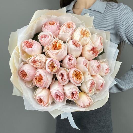 Rosa Julieta 25pcs