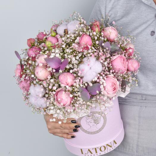 Gypsaphila con Silva Rosa