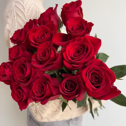 15 rosas rojas de Freedom (Ecuador )