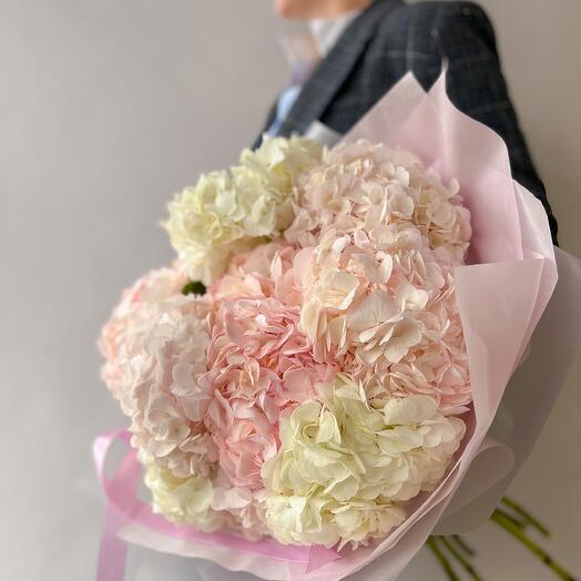 Bouquet of 11 delicate hydrangeas