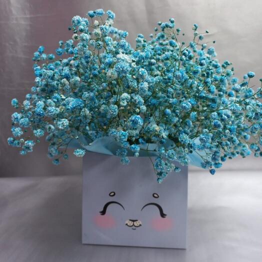 Повітряна гіпсофіла