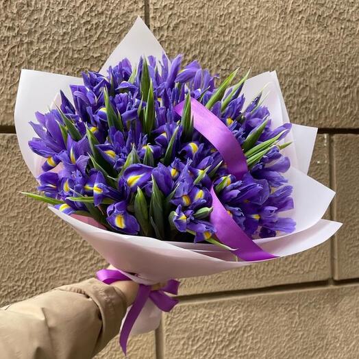 Magic Irises 49