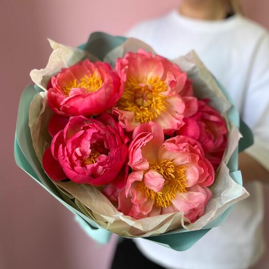 Peonías de lujo que cambian de color 🌺 🦩 peonías Holandesas Coral encanto 💕 🌺