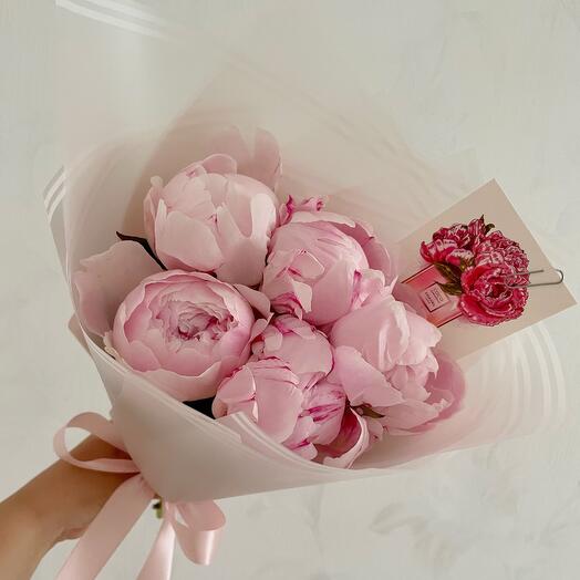 Пионы 5 розовые сара бернар букет