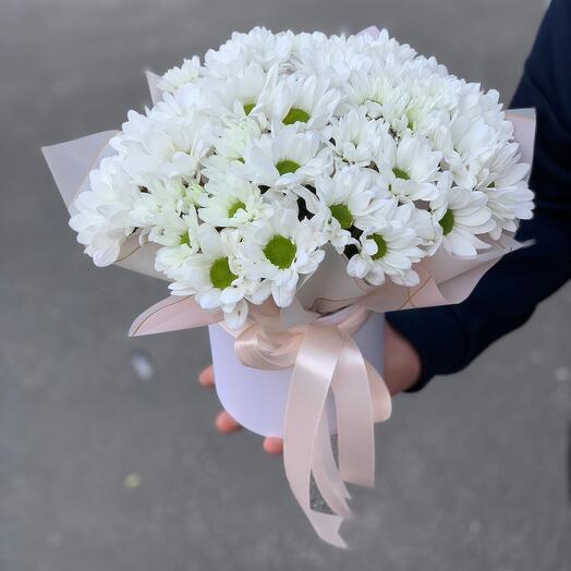 Летний коприс