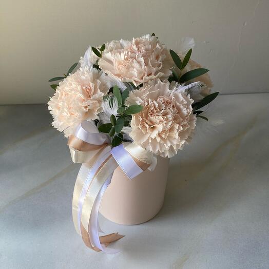 Caja de Dianthus