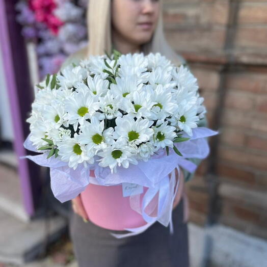 Ромашковое настроение