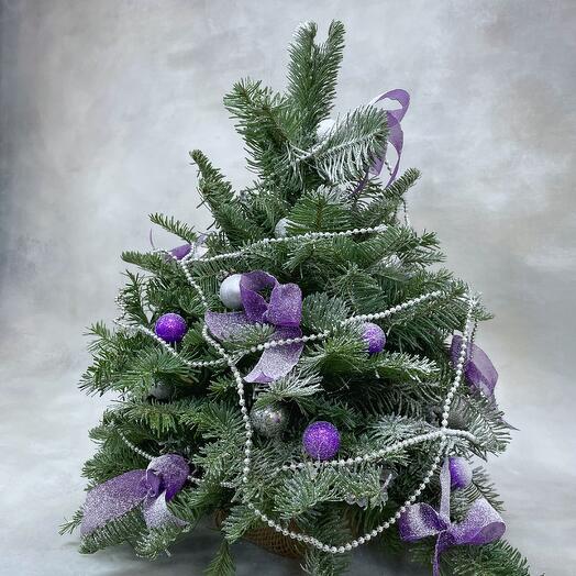 Елочка в фиолетовом