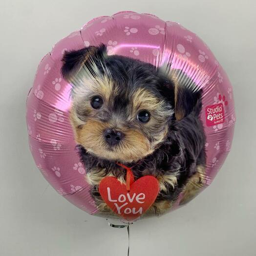 Шарик фольгированный Love you