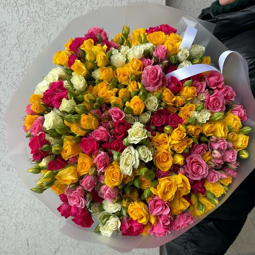 Bush roses